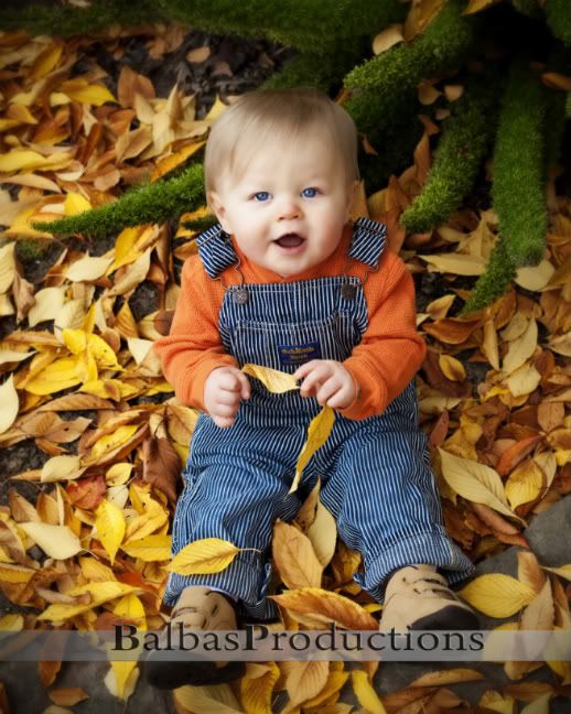 IMG_7915-1-1.jpg picture by erinrb4
