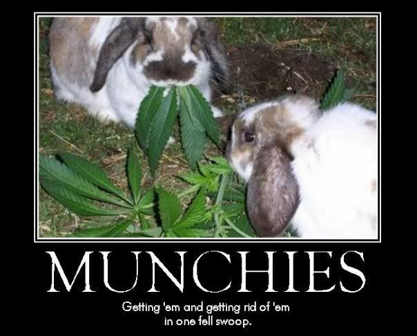 Munchies Pictures, Images and Photos