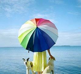 rainbow umbrella Pictures, Images and Photos