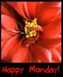 happy_monday_red_flower.jpg picture by mike2121_02