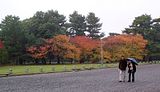 Kraliyet Bahçesi - Kyoto