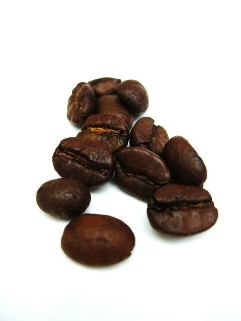 IMAGE: http://i128.photobucket.com/albums/p165/DANNY454/045-3.jpg