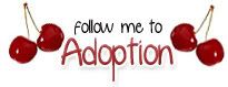 follow me to the adoption board