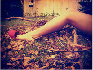 MySpace Photography at CharmRoyal.com