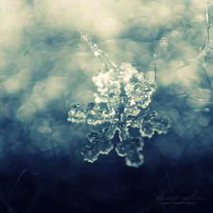 Cute MySpace Photography