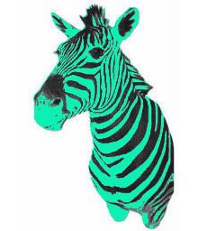 Zebra Graphics