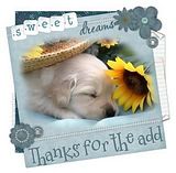 Add Graphics Thanks AddGraphics