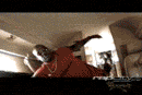 Animated Video graphics
