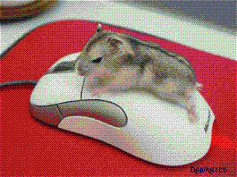 Animated Graphics GeneralGraphics
