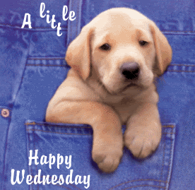 Weekdays Graphics WednesdayGraphics