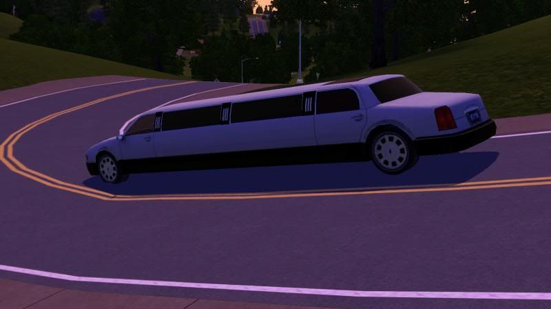 photo Limo.jpg
