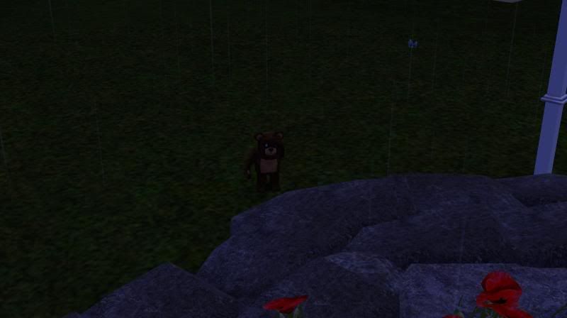  photo strangegnome.jpg