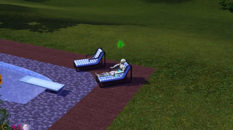  photo suntanbot-1.jpg