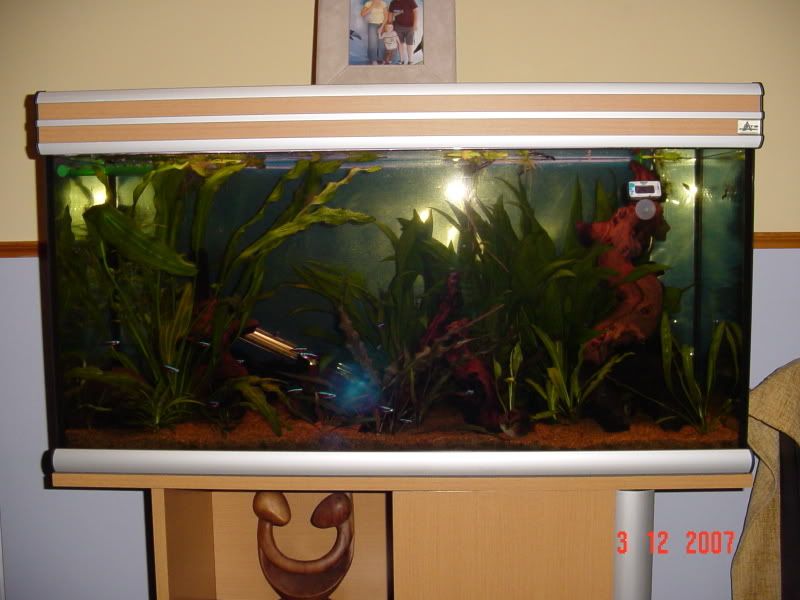 tank07029.jpg