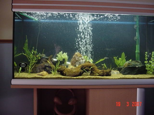 tankfilter.jpg