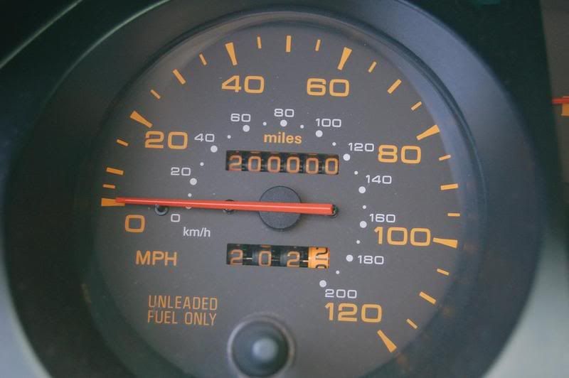 Roadtripspedo.jpg