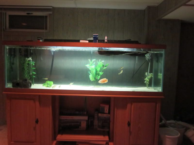 Fish tanks FS, 125G, 20g and 30g BASS BARN