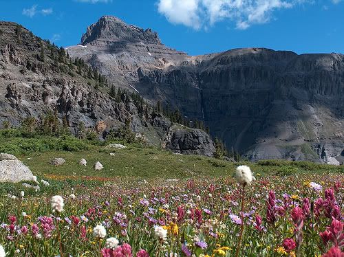 SpringInTelluride.jpg Spring in the Telluride Mountains image by adamwblack