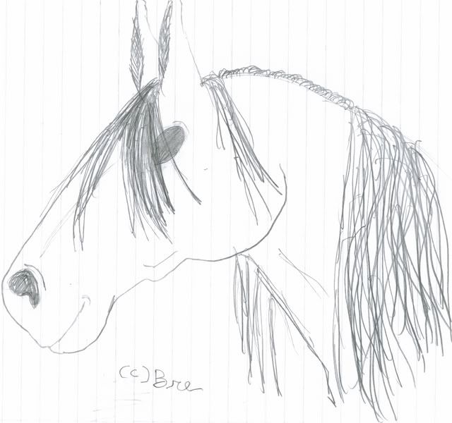horse head drawing. Horse head drawing Image
