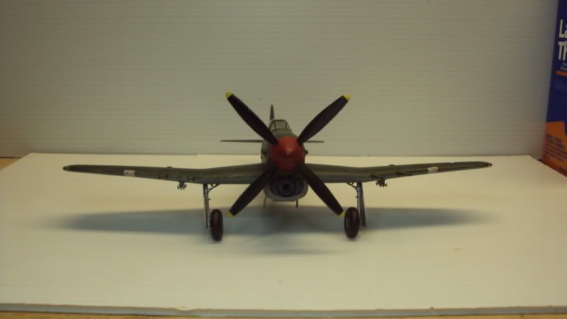Typhoon15.jpg
