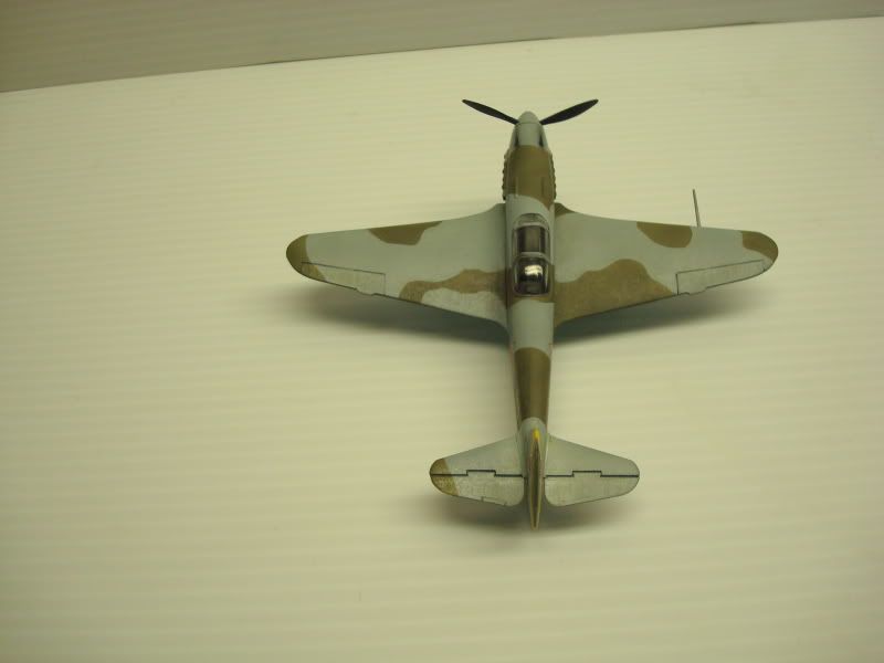 Yak3-10.jpg