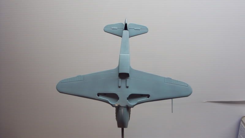 Yak3-5.jpg