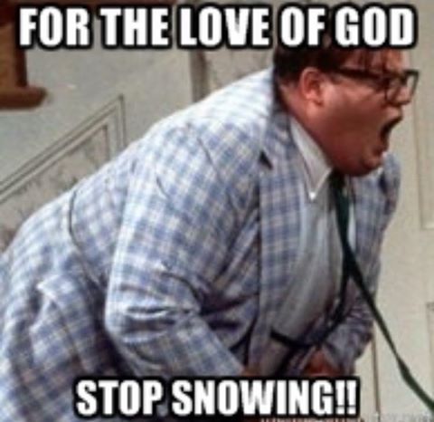 farleysnow_zpsmvw4tzq1.jpg