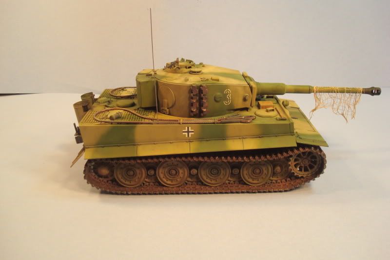 tiger25.jpg