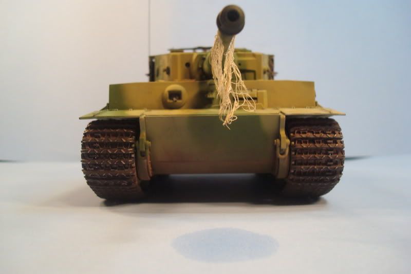 tiger26.jpg