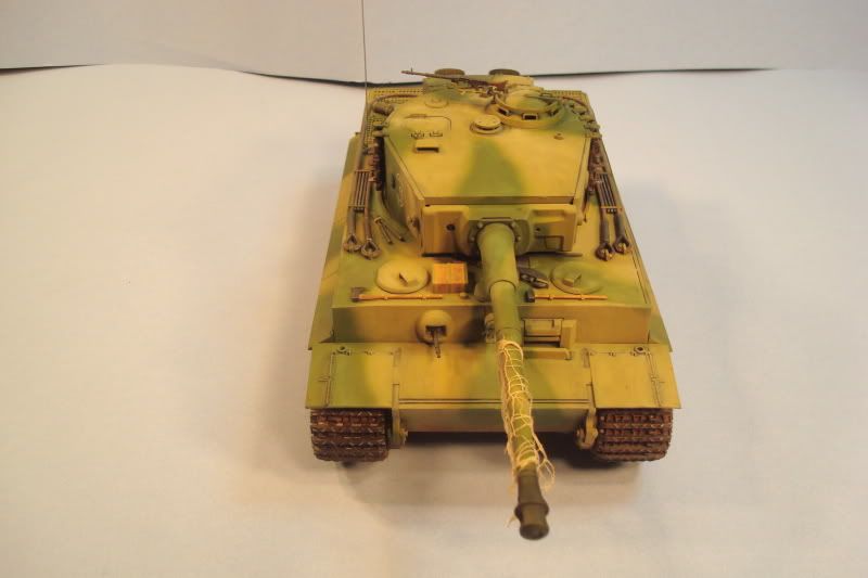 tiger27.jpg