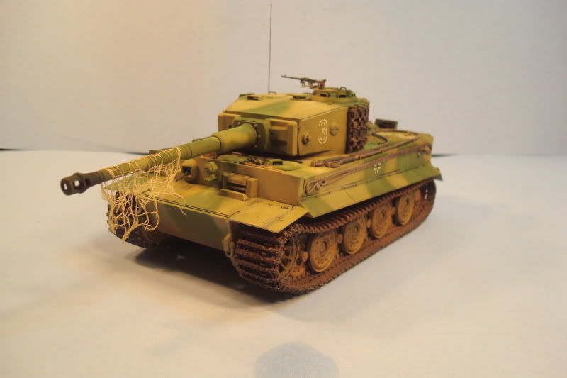 tiger28.jpg