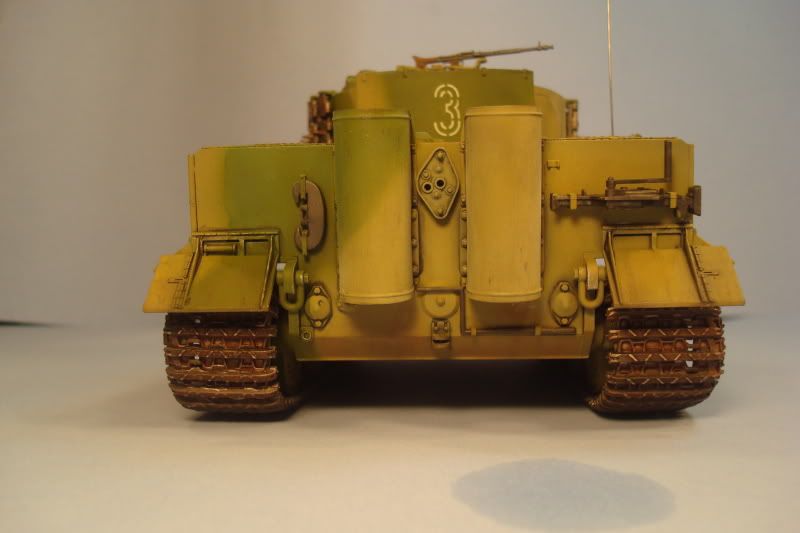 tiger30.jpg