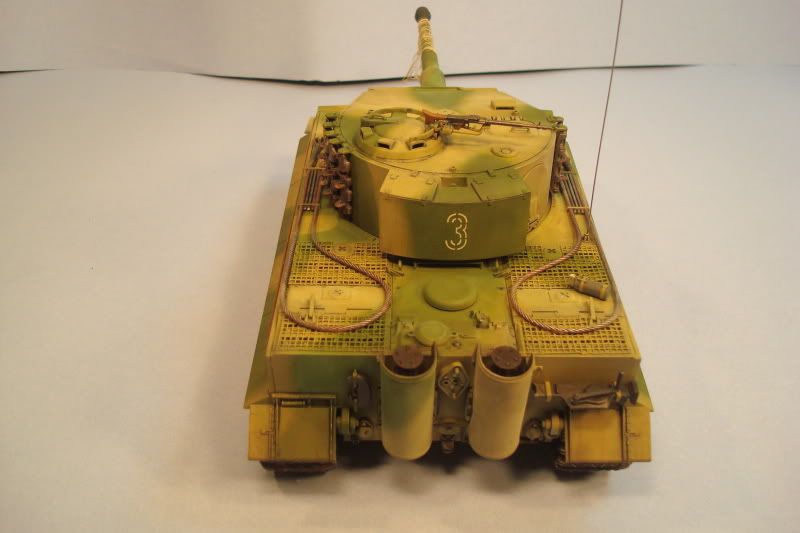 tiger31.jpg