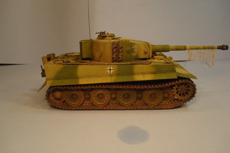 tiger32.jpg