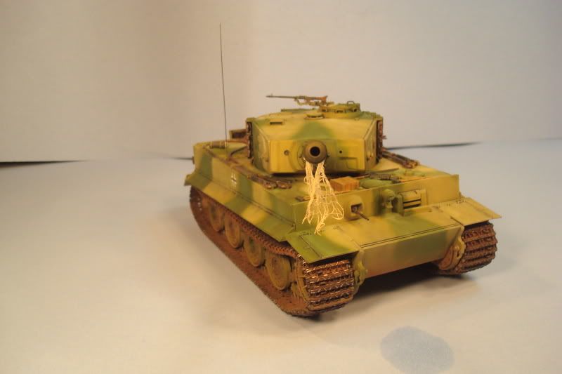 tiger33.jpg