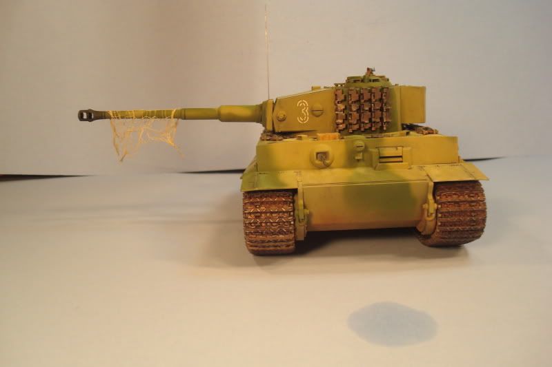 tiger34.jpg