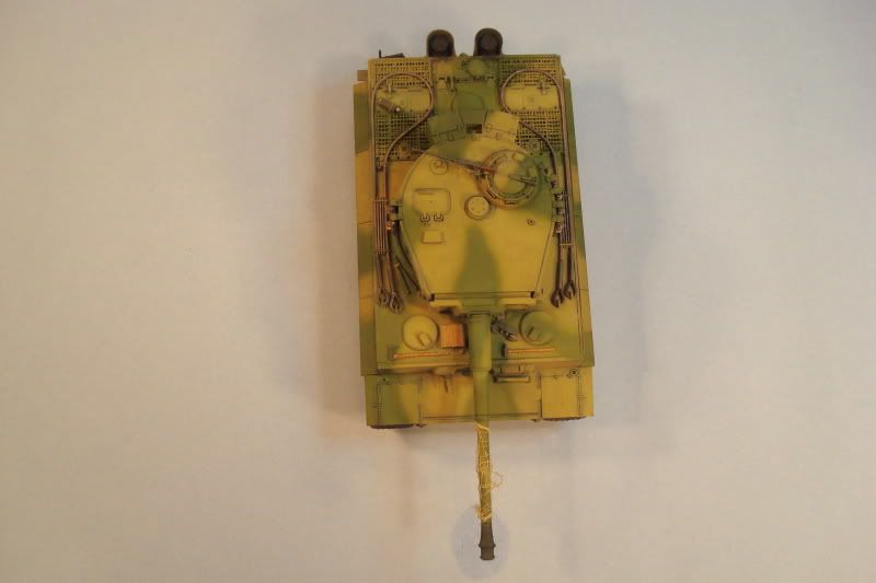 tiger35.jpg