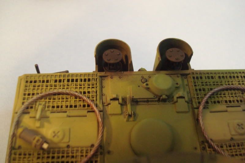 tiger36.jpg