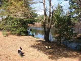 Another view of the channel