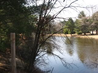 channel behind the house