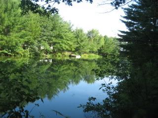 The Channel after 3 inches of rain