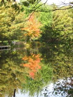 Awesome colors & reflection