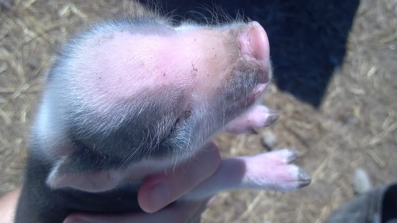 2012-08-07_15-28-16_729.jpg