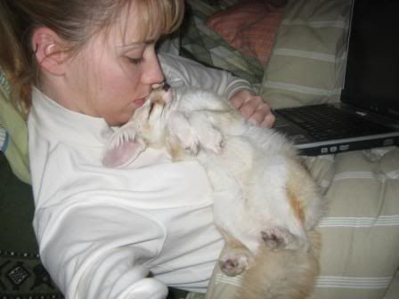 Ohio's governor and HSUS - Homesteading Questions