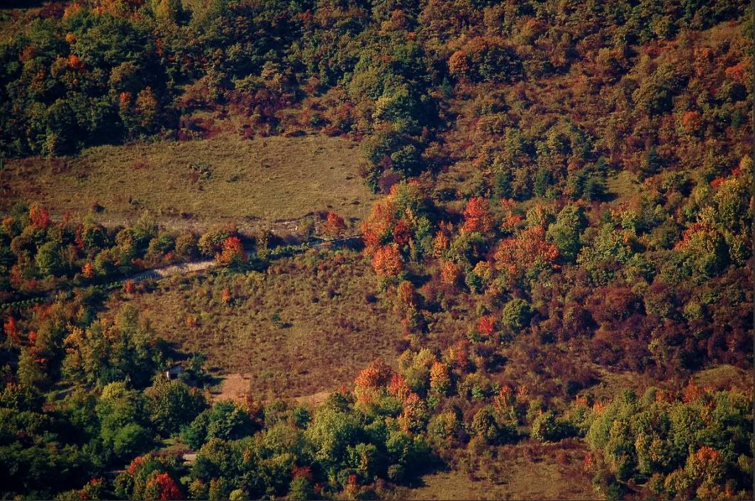 DSC_1437reso.jpg
