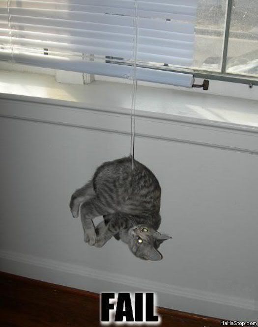 Fail_Cat336.jpg