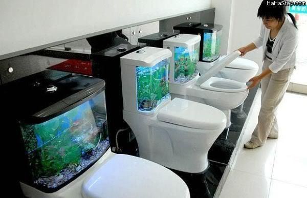 Fish_Toilets.jpg