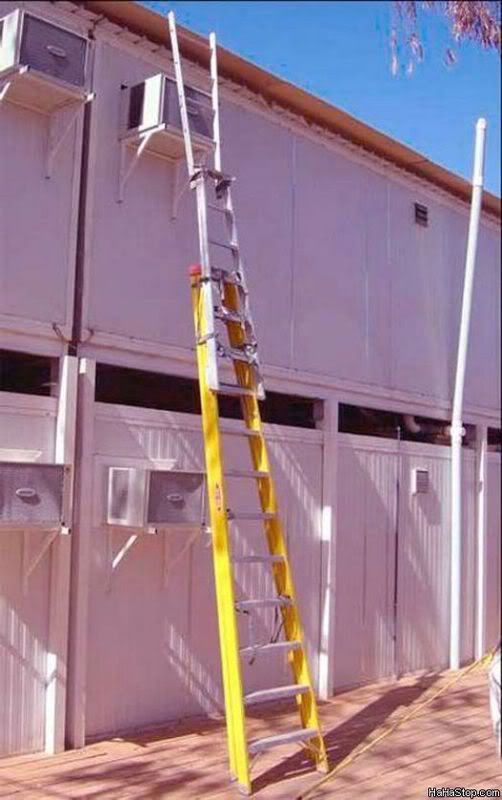 Safety_First_Ladder.jpg