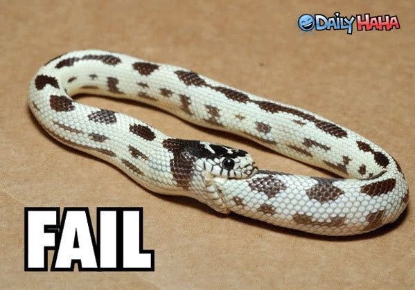 fail_snake_ishungry.jpg