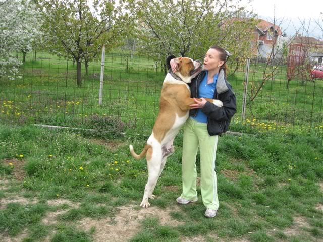 Качена снимка